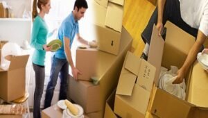 Packers and Movers Narsingi Hyderabad