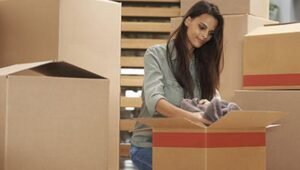 Packers and Movers Wakad