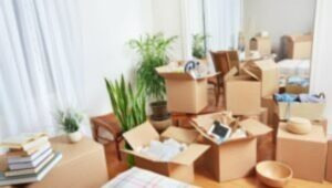 Packers and Movers Kothrud