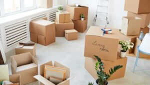 Packers and Movers Beeramguda