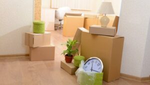 Packers and Movers Amberpet