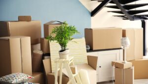 Packers and Movers Alwal